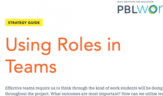Thumbnail of this downloadable resource called Using Roles in Teams