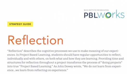 Screenshot of thumbnail indicating resource on Reflection