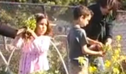 This video features students learn how to grow and harvest vegetables with the help a garden coordinator.