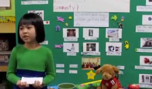 This video features kindergarten student presentations of projects on stray animals.
