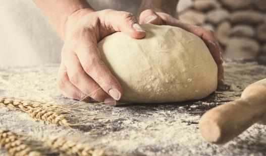 Hands kneading bread dough