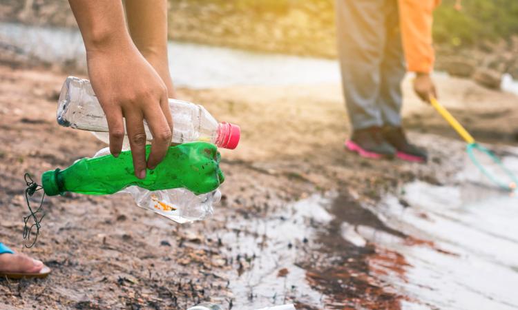 A group of children volunteer to clean empty plastic bottles from a shoreline.